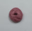 Rauma - Plum