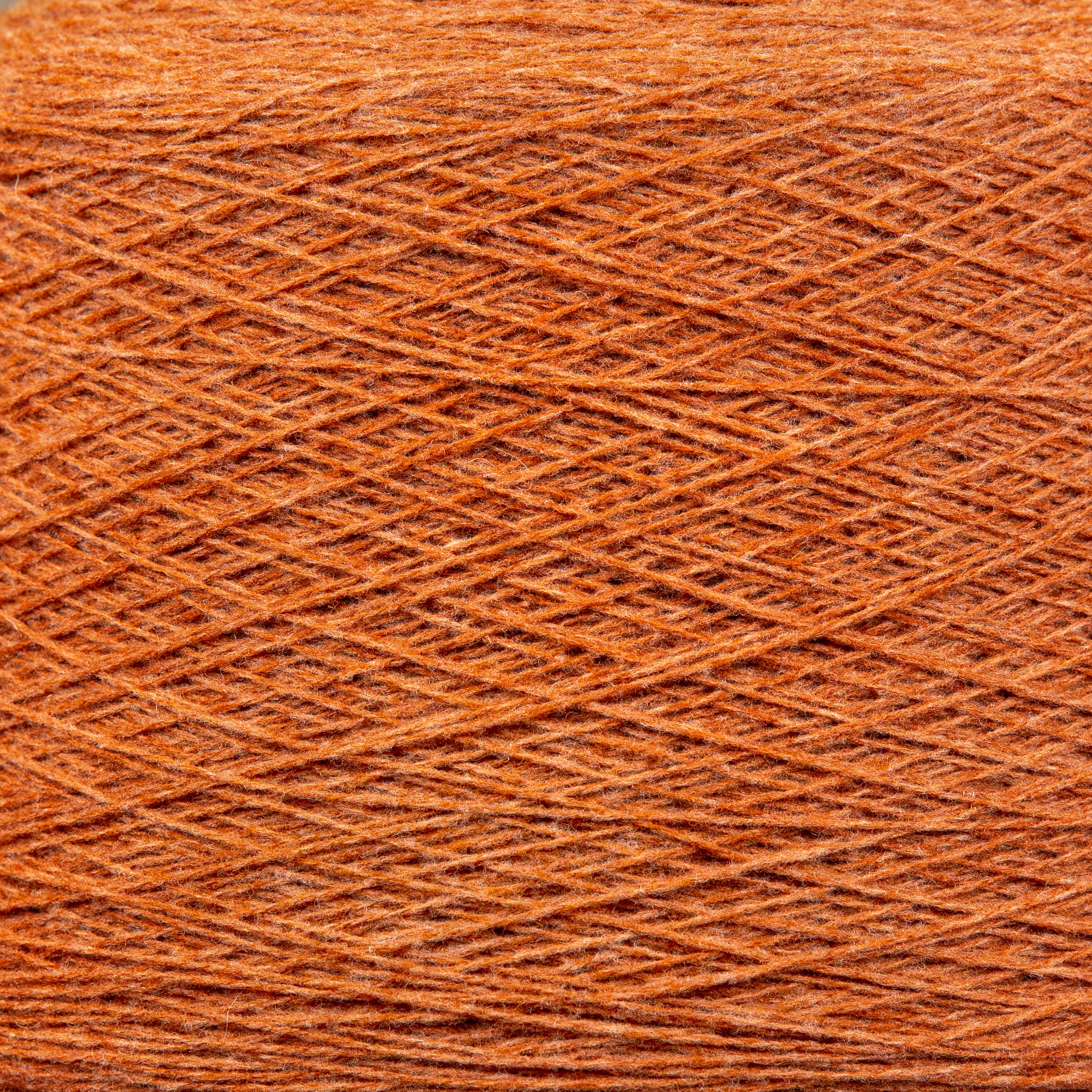 Wooldreamers - 90 Varas