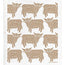 Jangneus - Swedish Dishcloths
