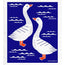 Jangneus - Swedish Dishcloths