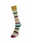 Laines du Nord - Art Sock